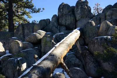 DSC_5217 (Large).JPG